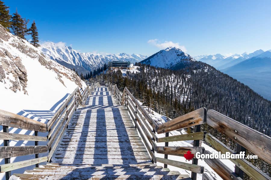 Sanson's Peak Boardwalk