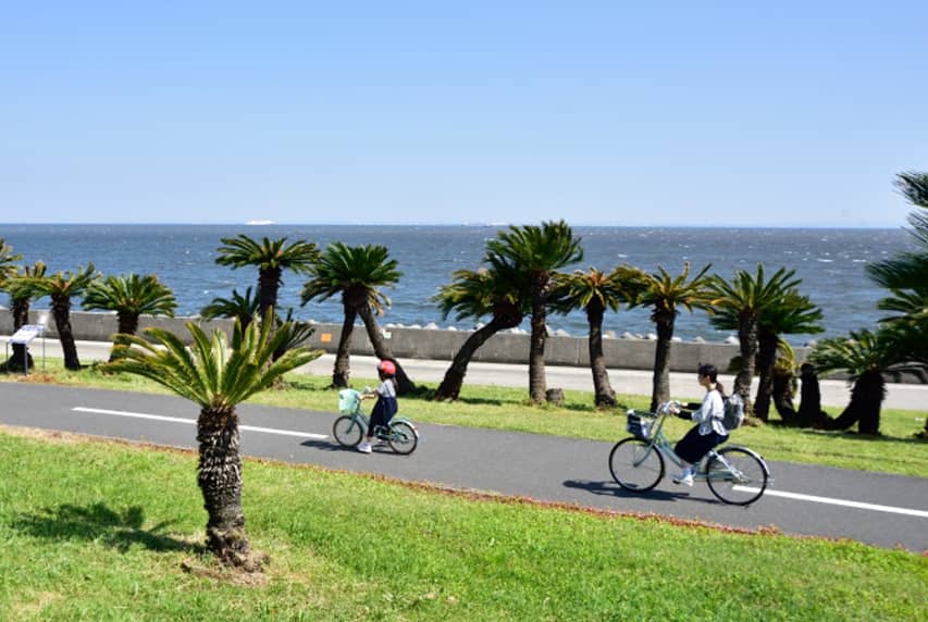 Cycling Paradise