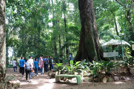 Amazonian Flora Trail