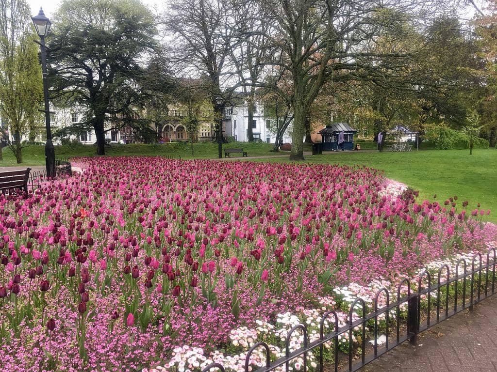 Exotic Flower Displays