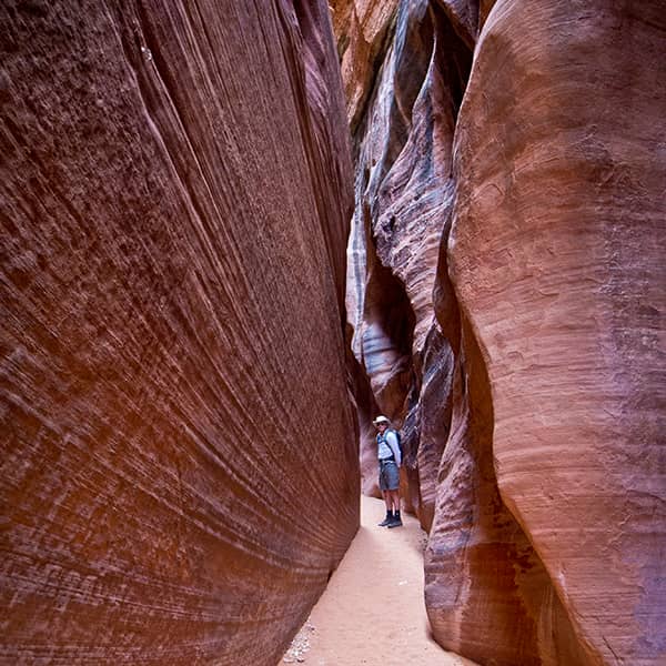 Wire Pass Trail