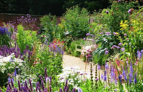 Walled Garden