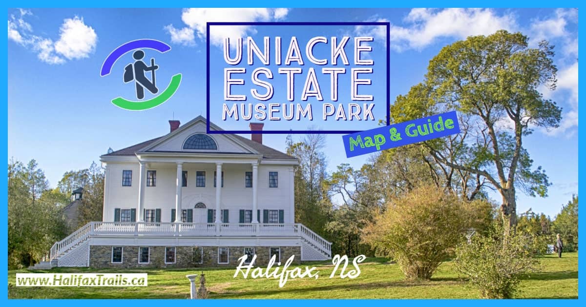 Engaging Guided Tours