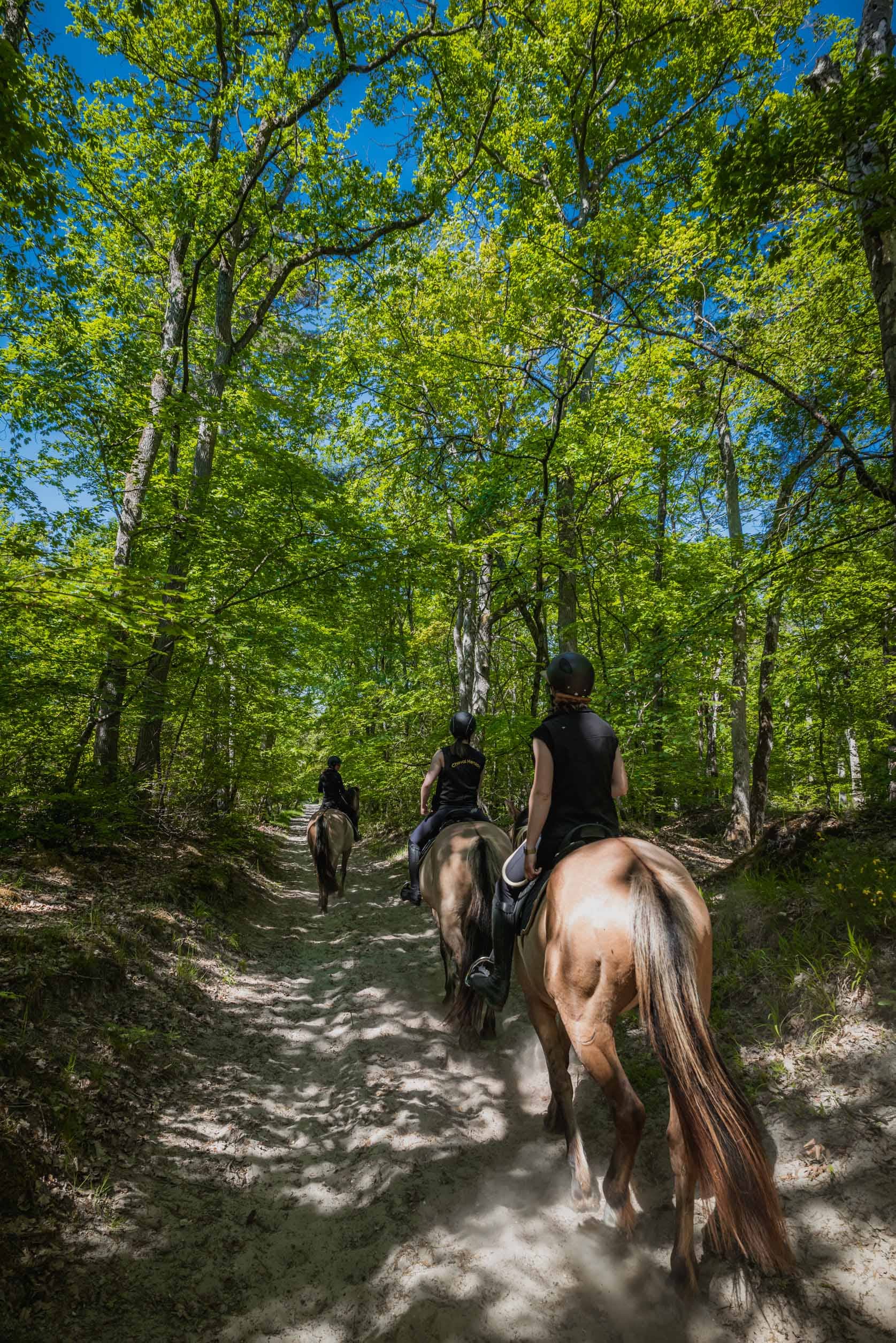 Horseback Riding Trails