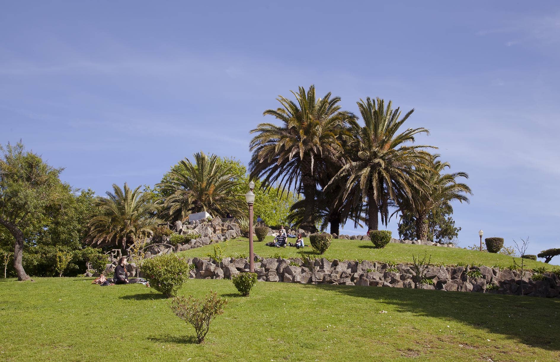 Native Flora Showcase