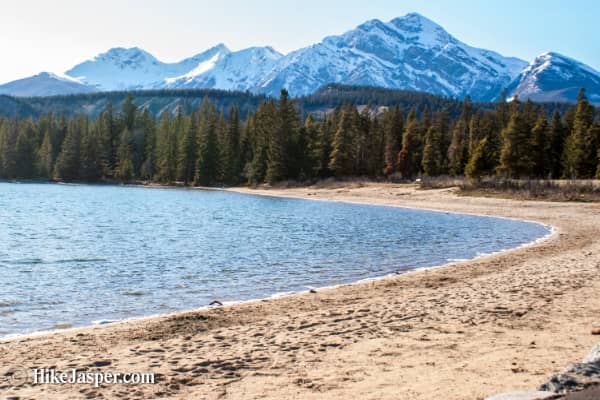 Scenic Walking Trails