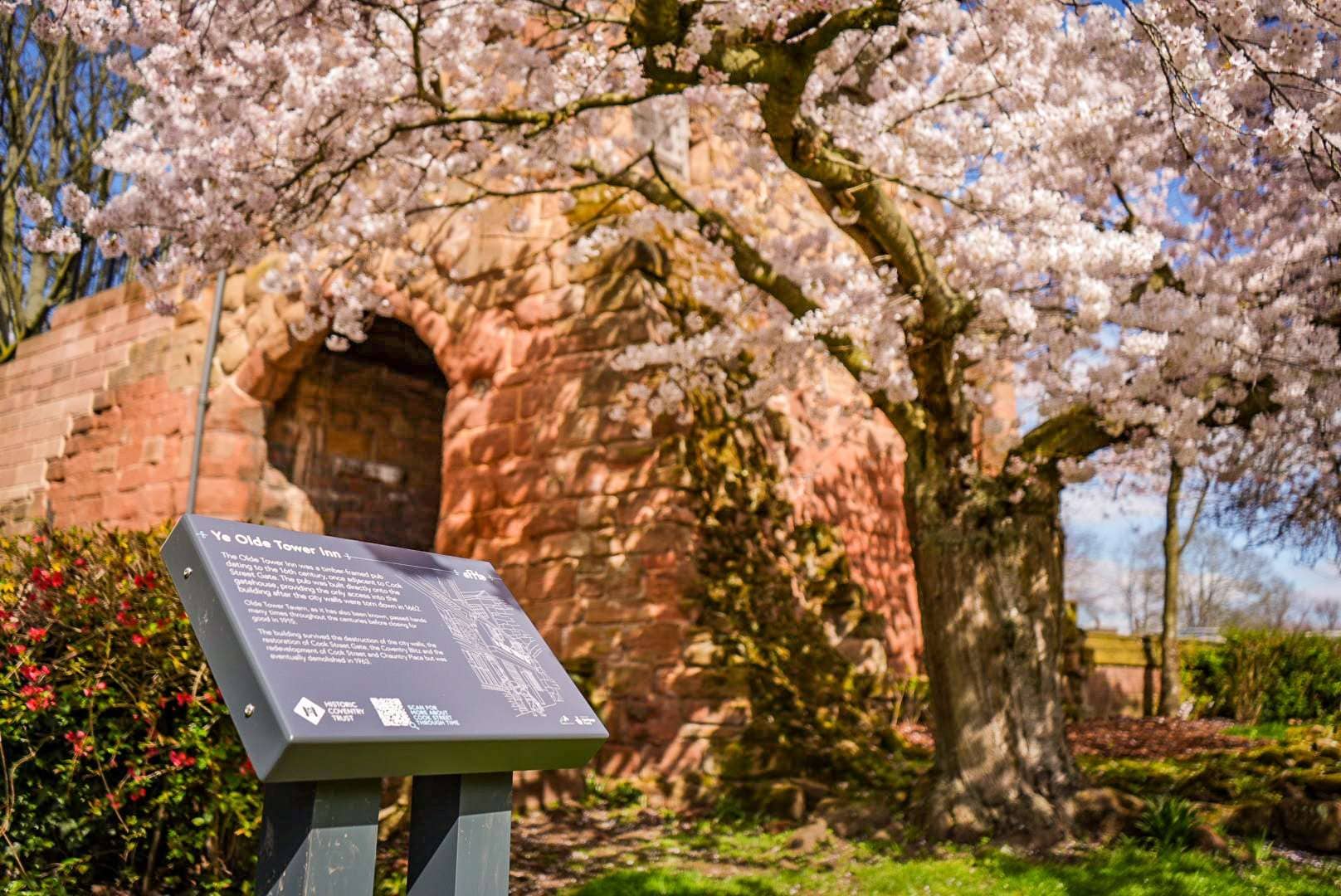 Spring Blossom Views