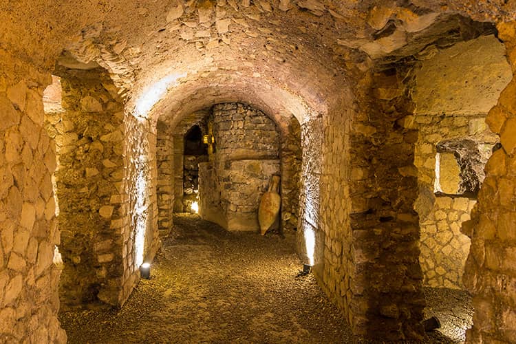 Archaeological Displays