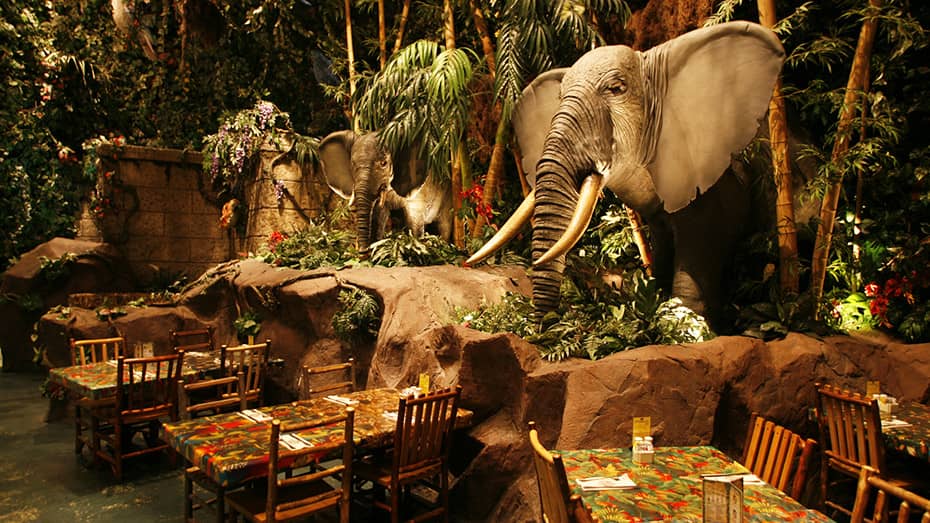 Rainforest Cafe