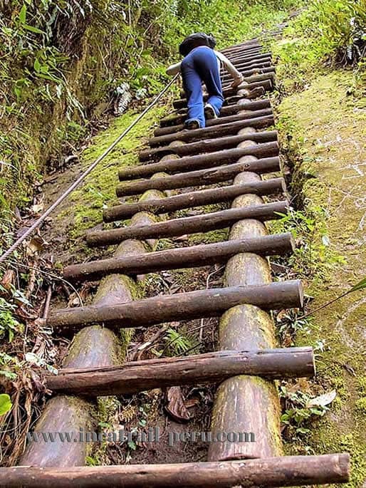 Challenging Ladder Ascents