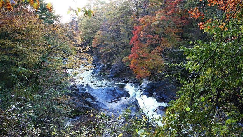 The Rushing River