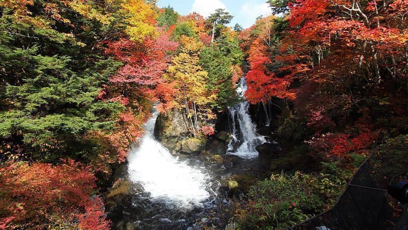 Autumn Foliage Spectacle