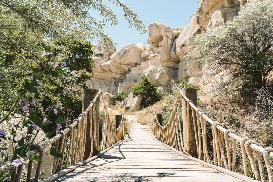 Scenic Hiking Trails
