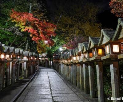 Magical Nighttime Illumination