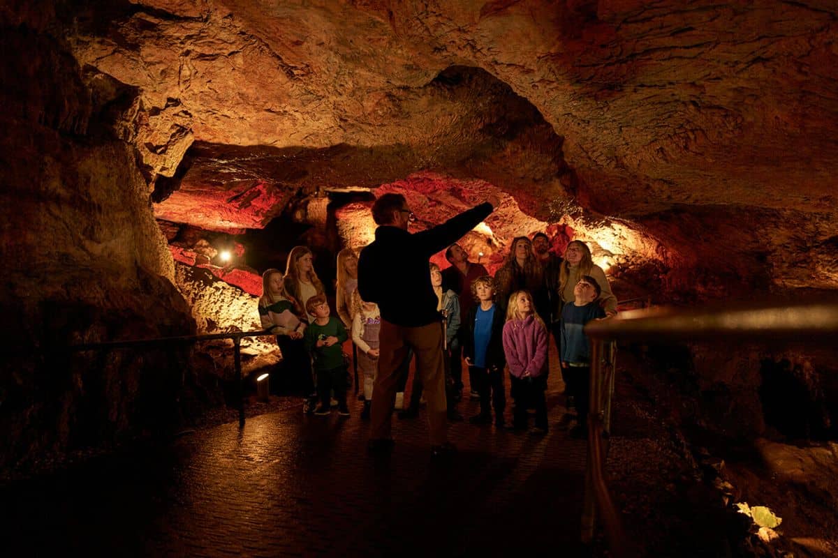 Interactive Guided Tours