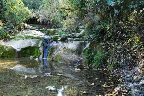 Hidden Pools and Blooms