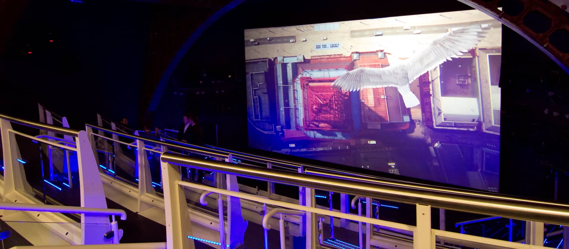 4D Cinema Experience