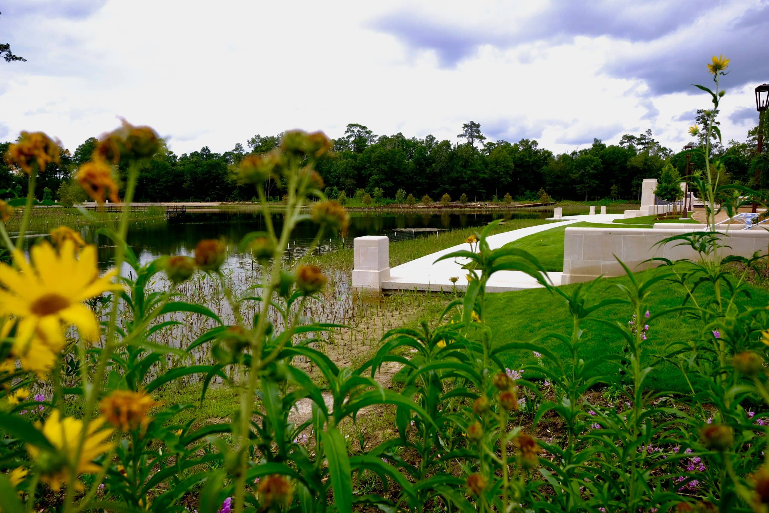 Wetland and Savanna Ecosystems