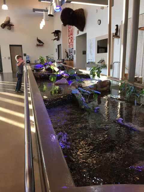 Interactive Nature Center