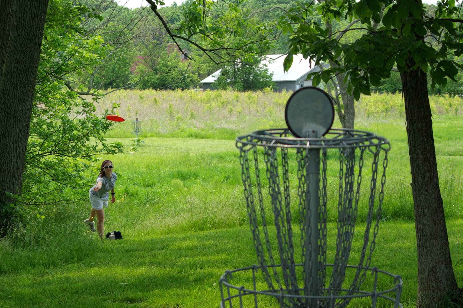 Disc Golf Paradise