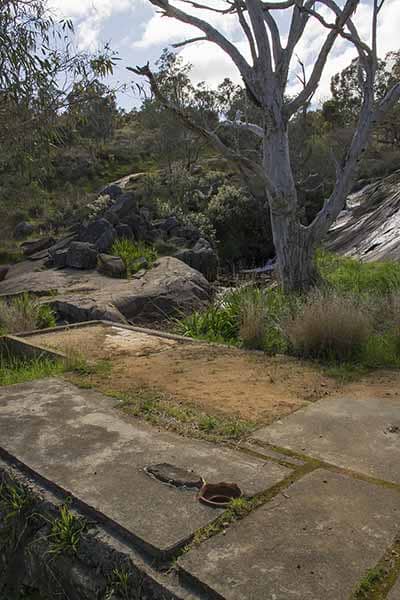 Scenic Walking Trails