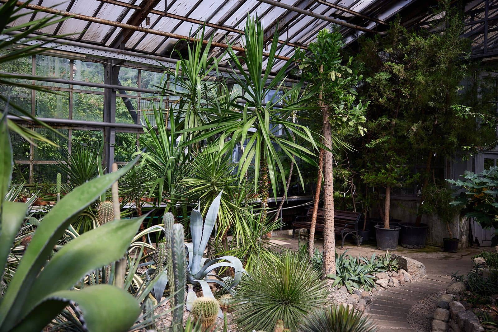 Enormous Greenhouses