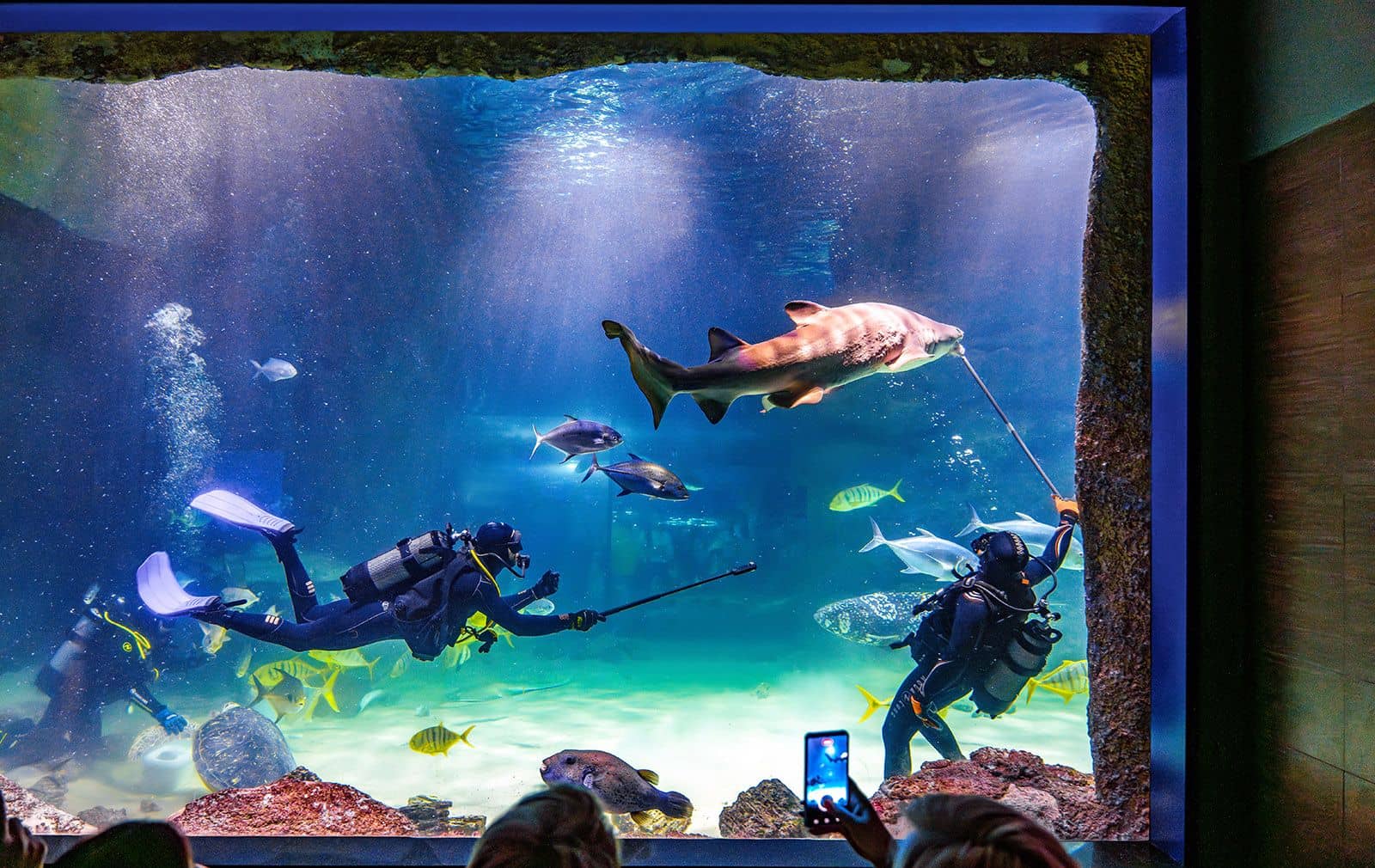 Vast Aquarium Exhibits