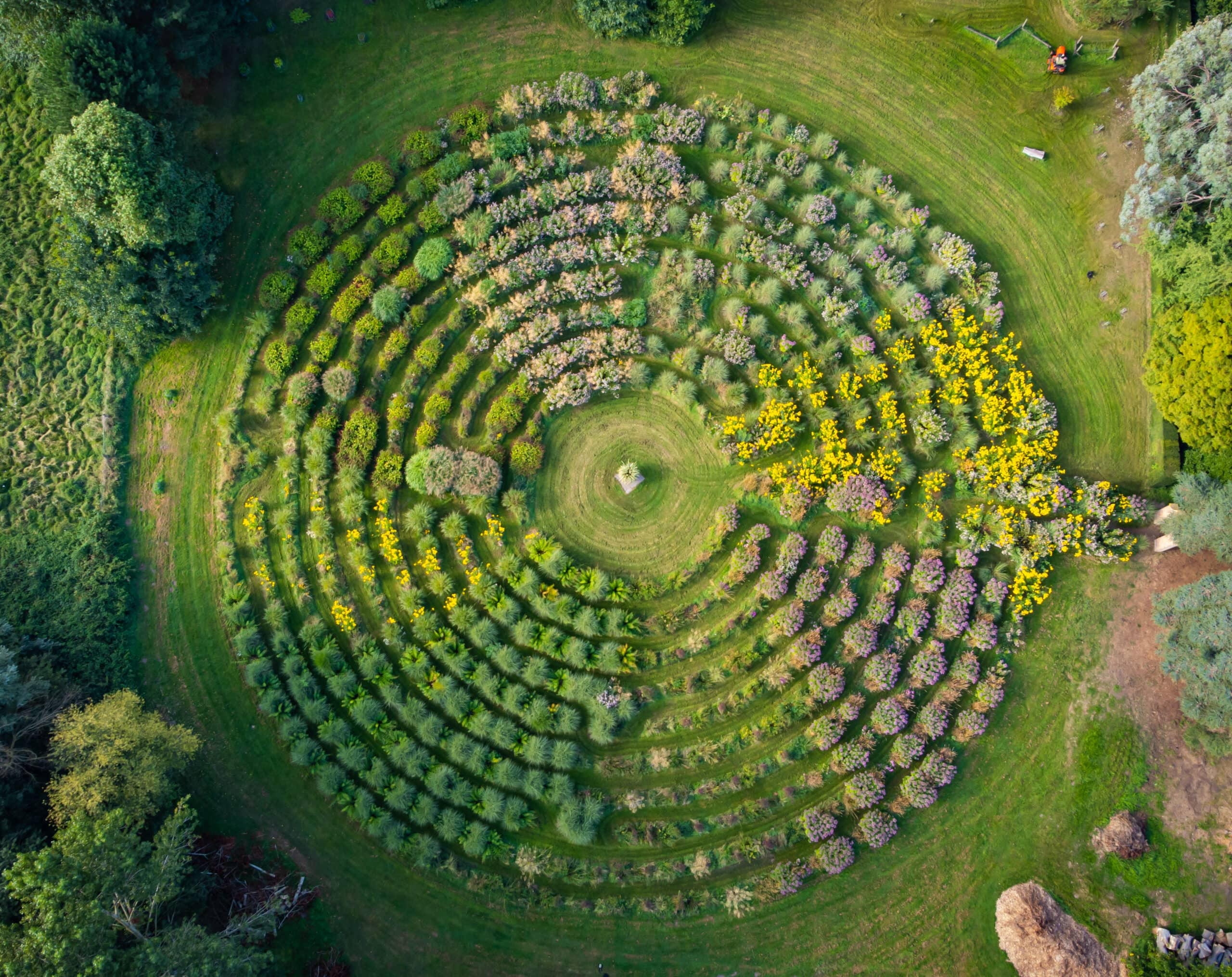The Grass Maze