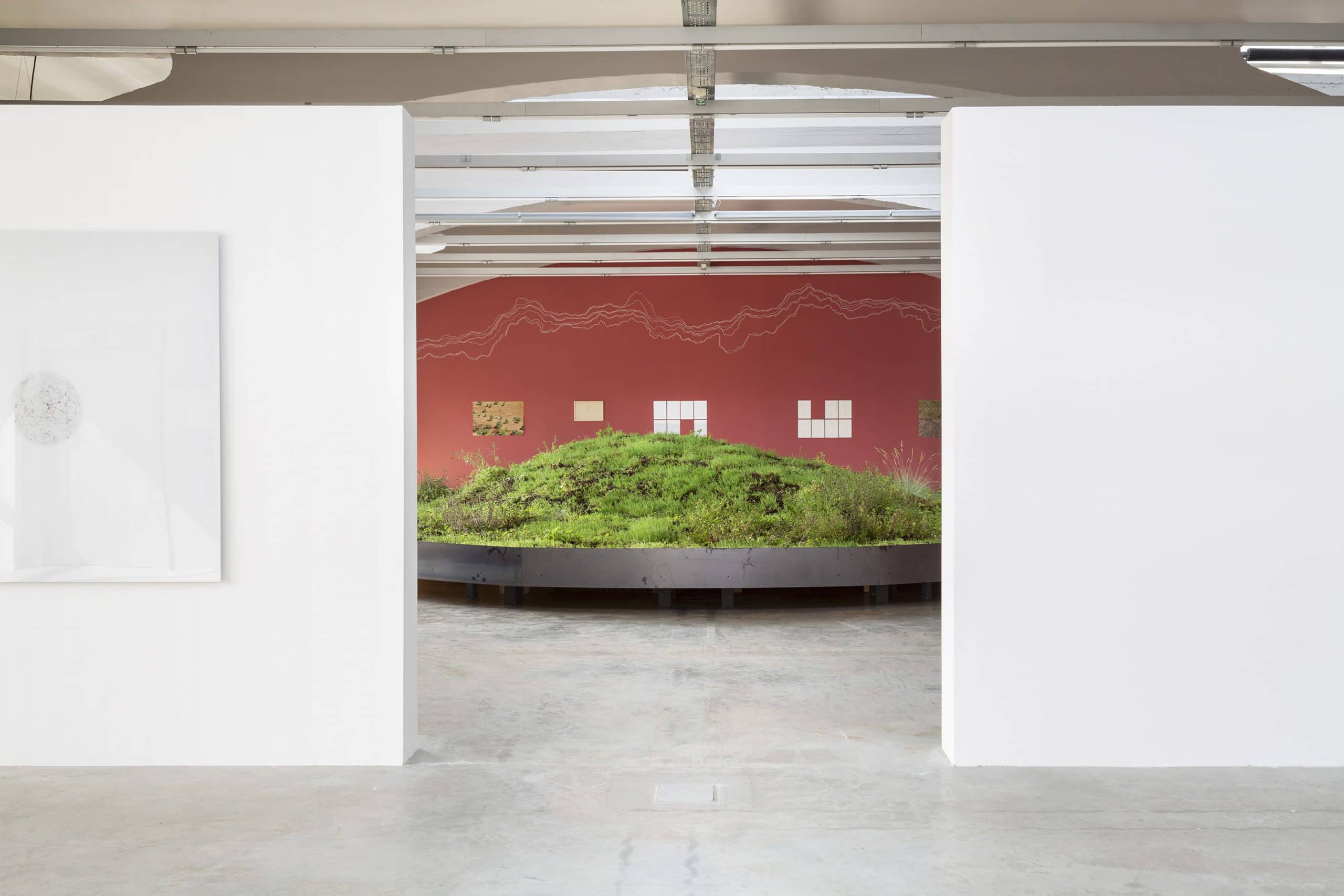 Younes Rahmoun Exhibition