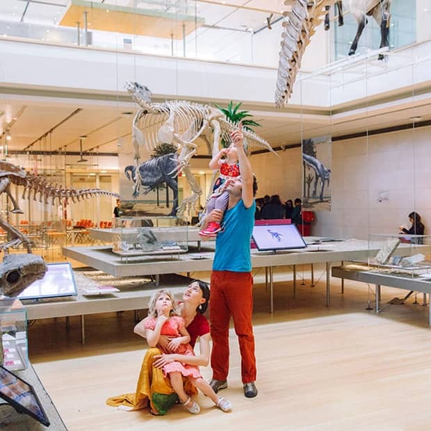 Kid-Friendly Zones