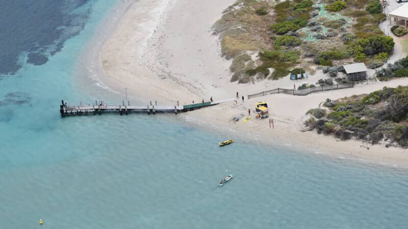 Sandbar Walk to Penguin Island