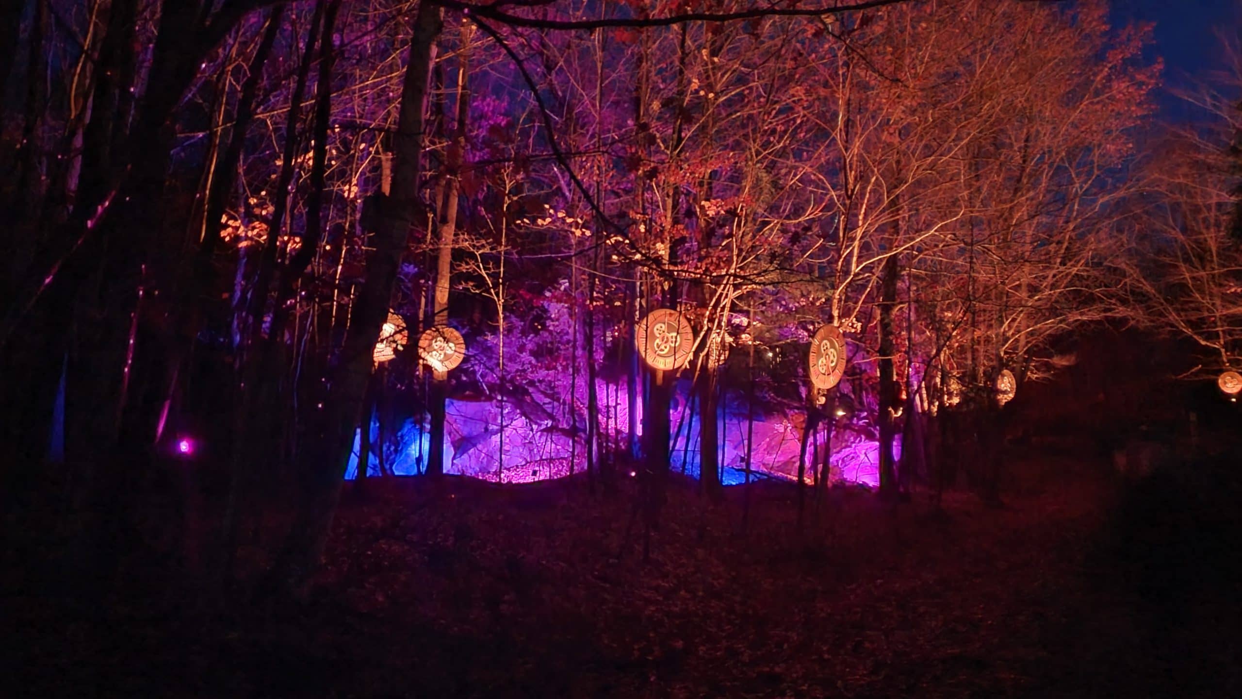 Eclipse Light Walk