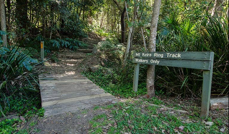 Mount Keira Hiking Trails