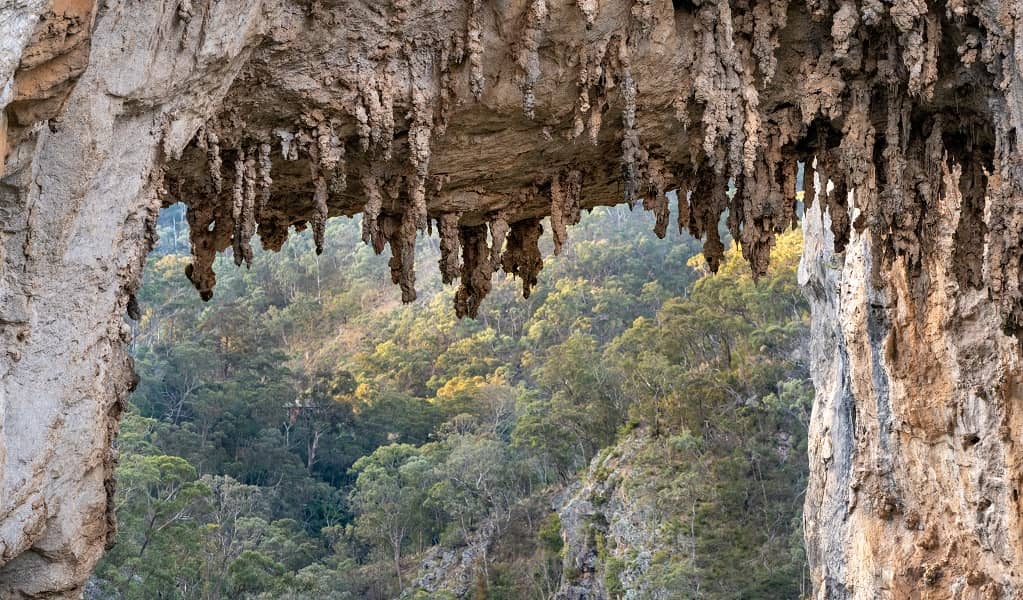 Carlotta's Arch