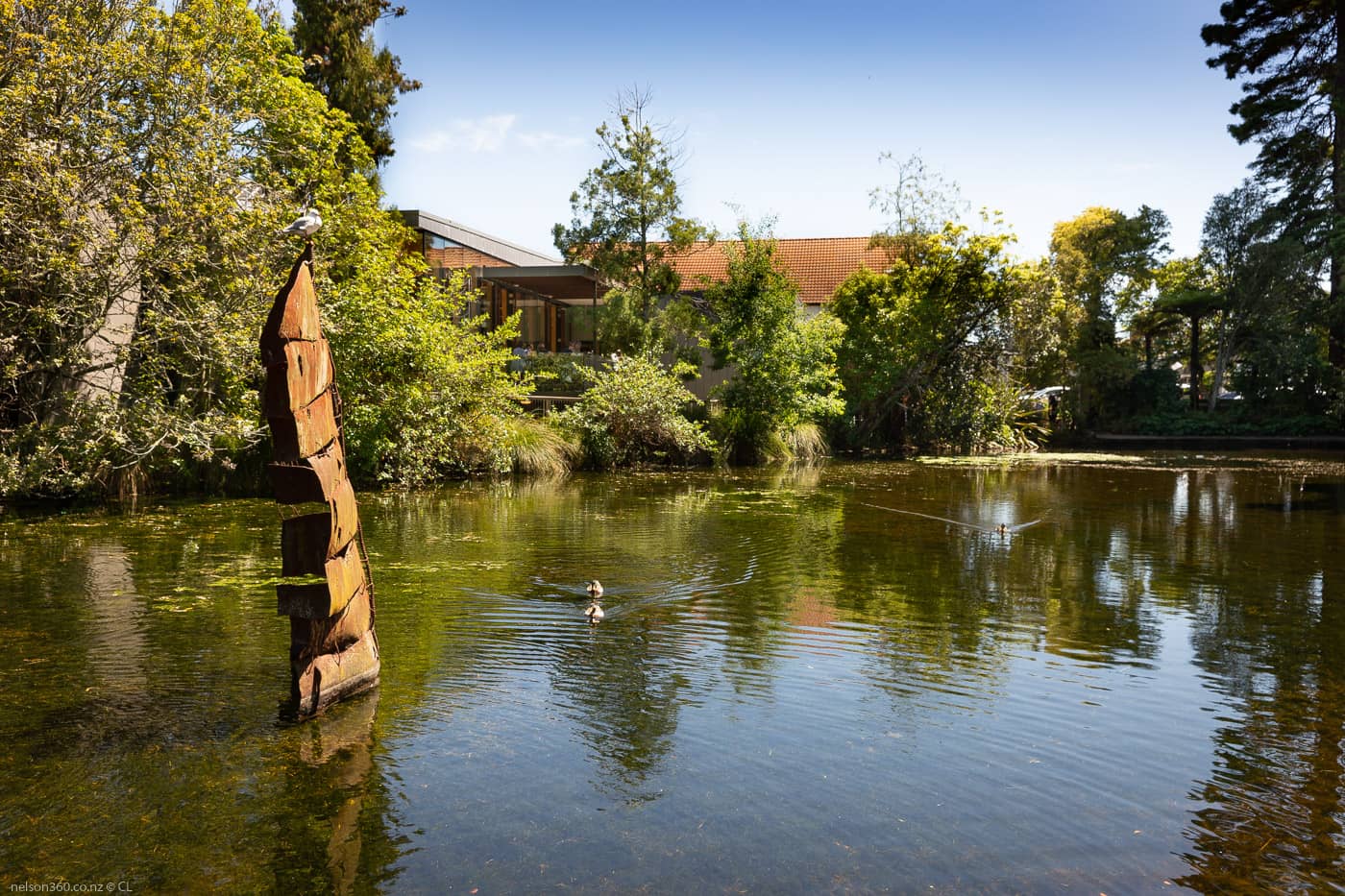 Peaceful Ponds & Wildlife