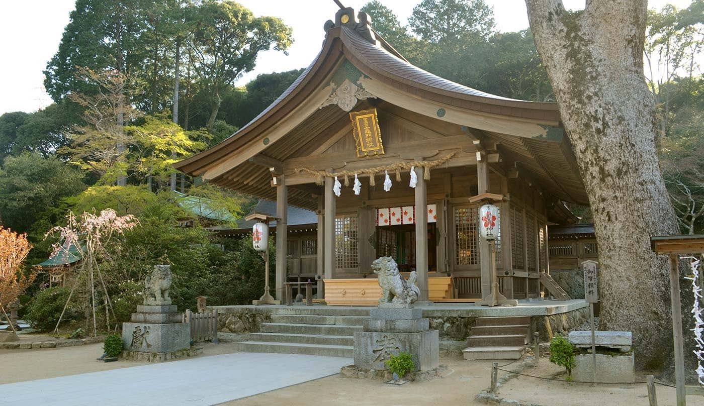 Shinto Shrine Serenity