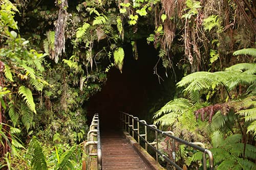 Thurston Lava Tube