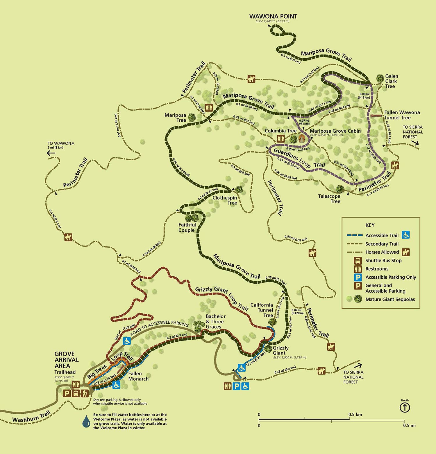 Mariposa Grove Trails
