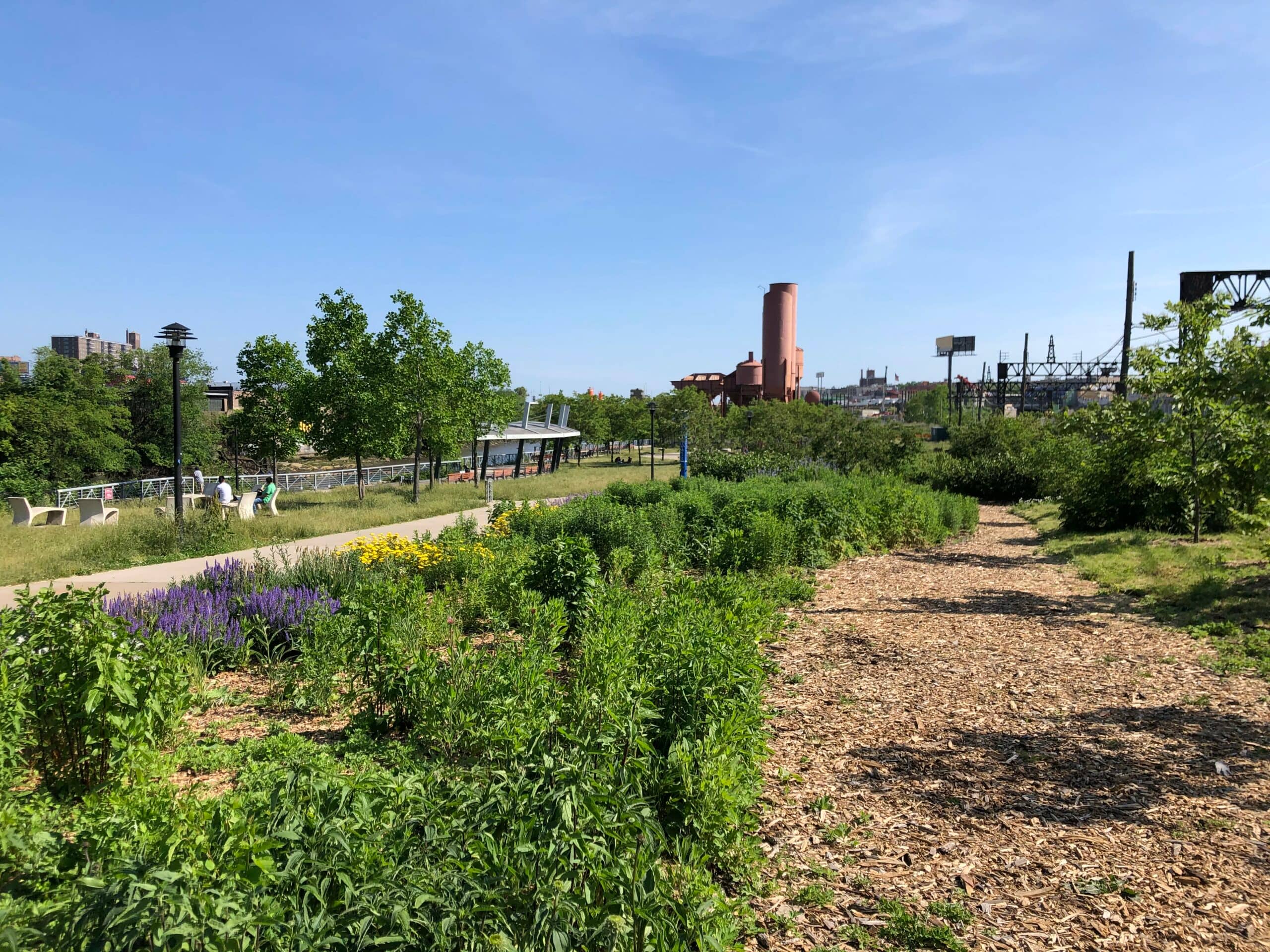 Edible Food Forest