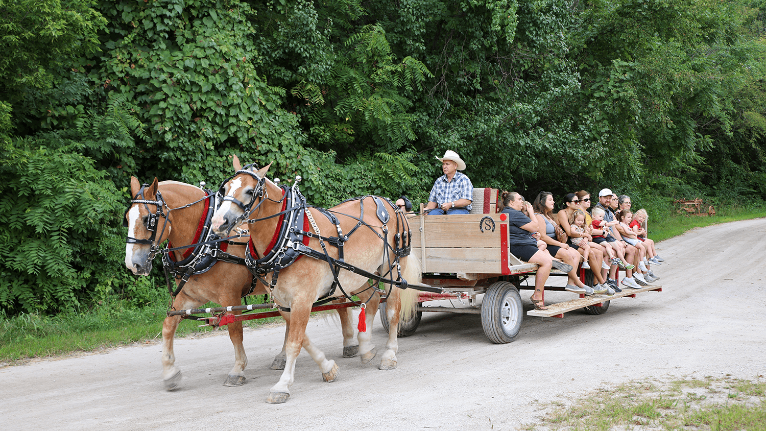 Wagon Rides