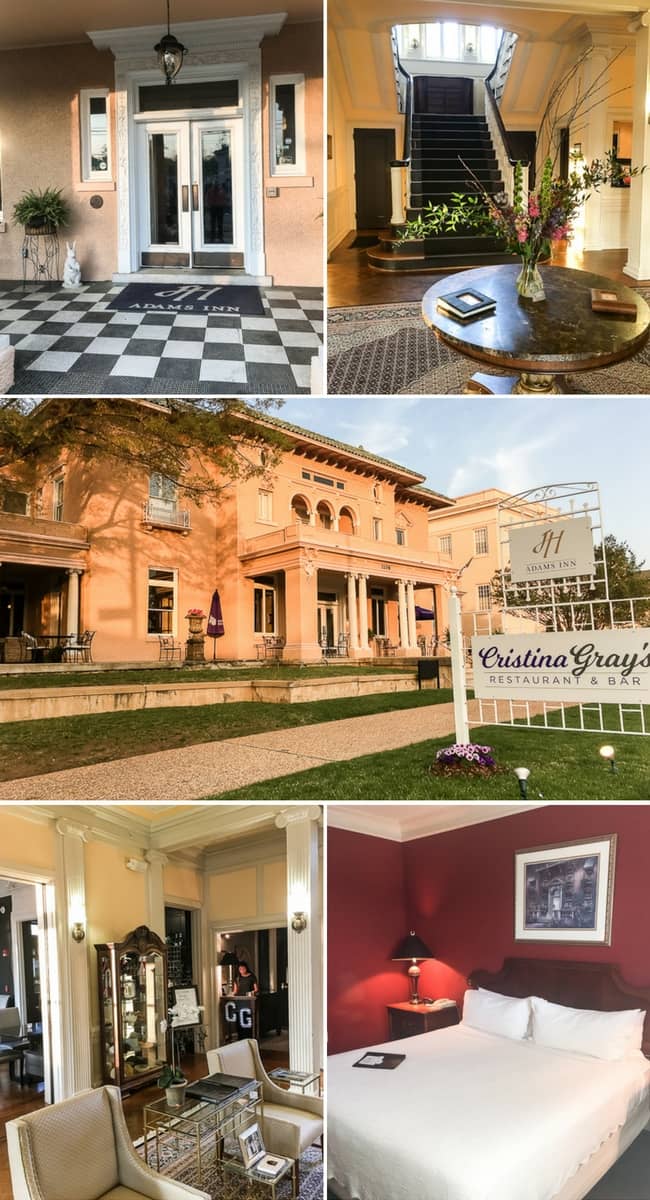 Insightful Guided Tours