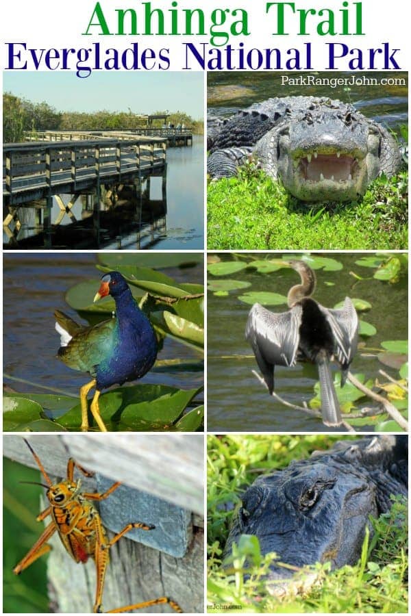 Anhinga Trail