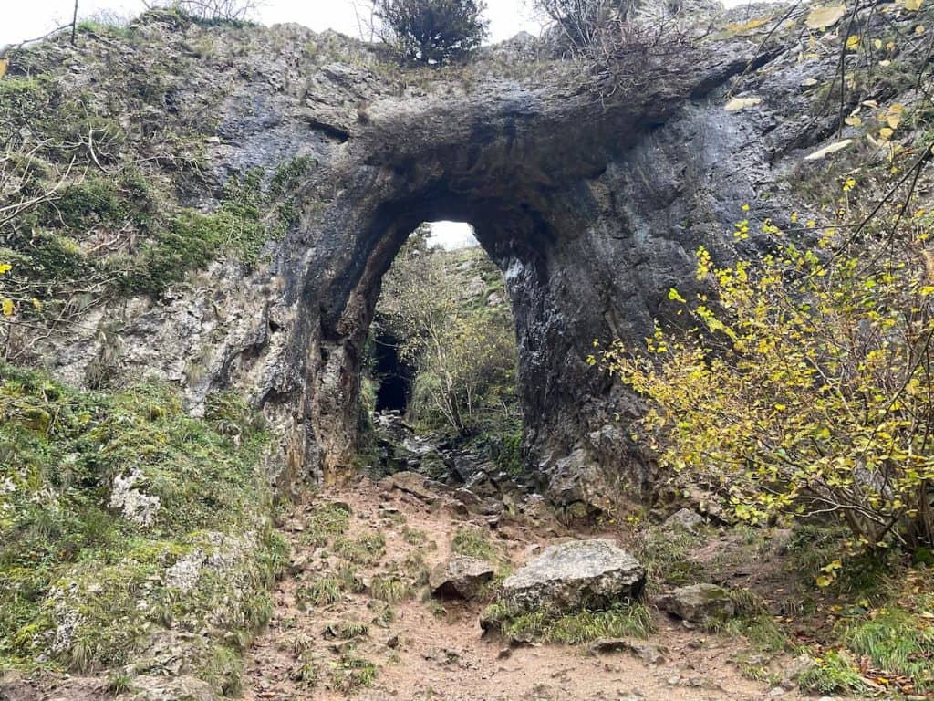 Reynards Cave