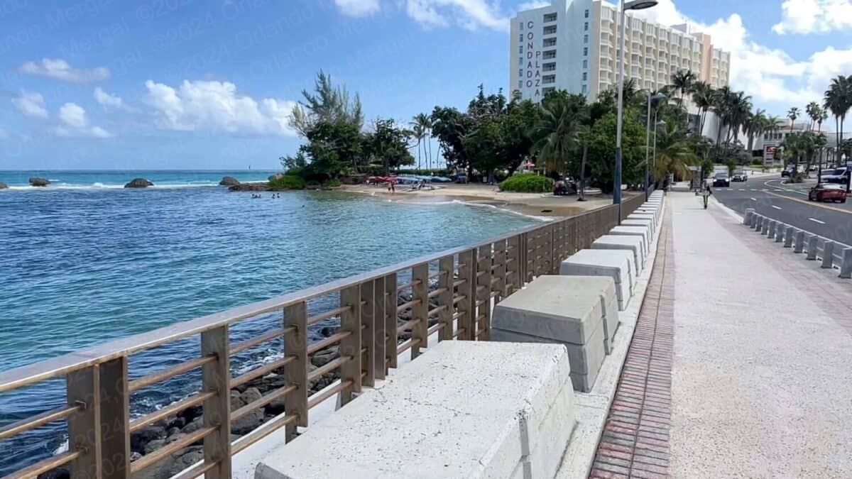 Scenic Boardwalk Stroll