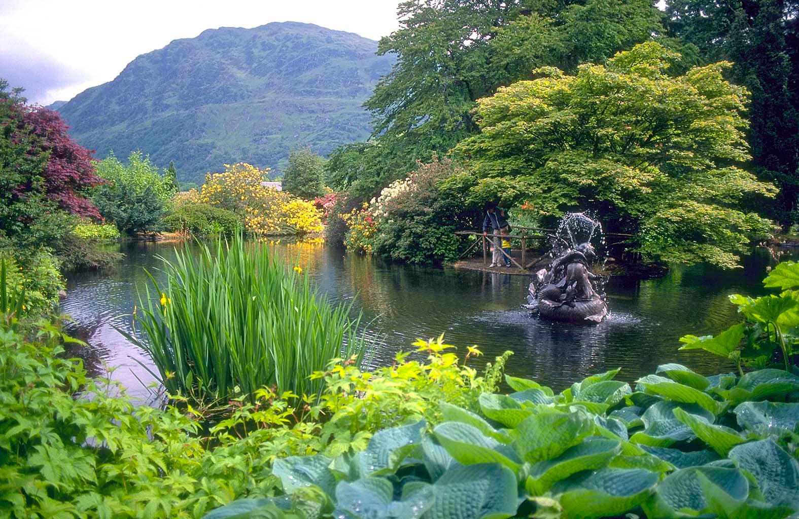 Puck's Glen