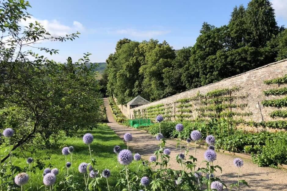 The Walled Garden