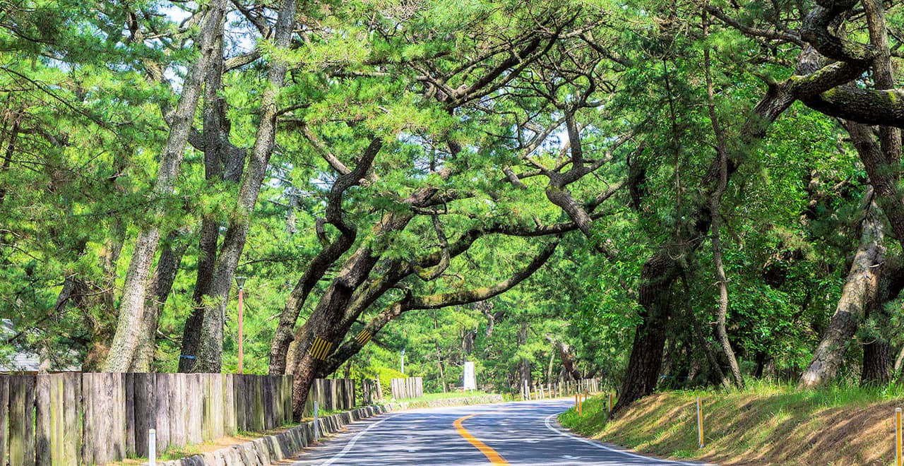 Peaceful Walking Trails