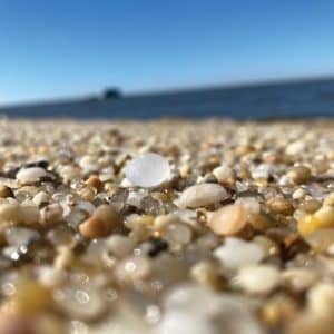 Cape May Diamonds
