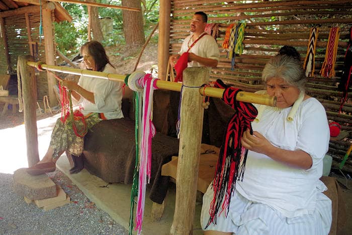 Cultural Immersion