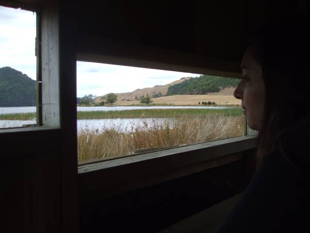 Bird Watching Huts